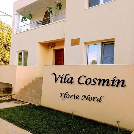 ホテル Vila Cosmin エフォリエ・ノルド エクステリア 写真