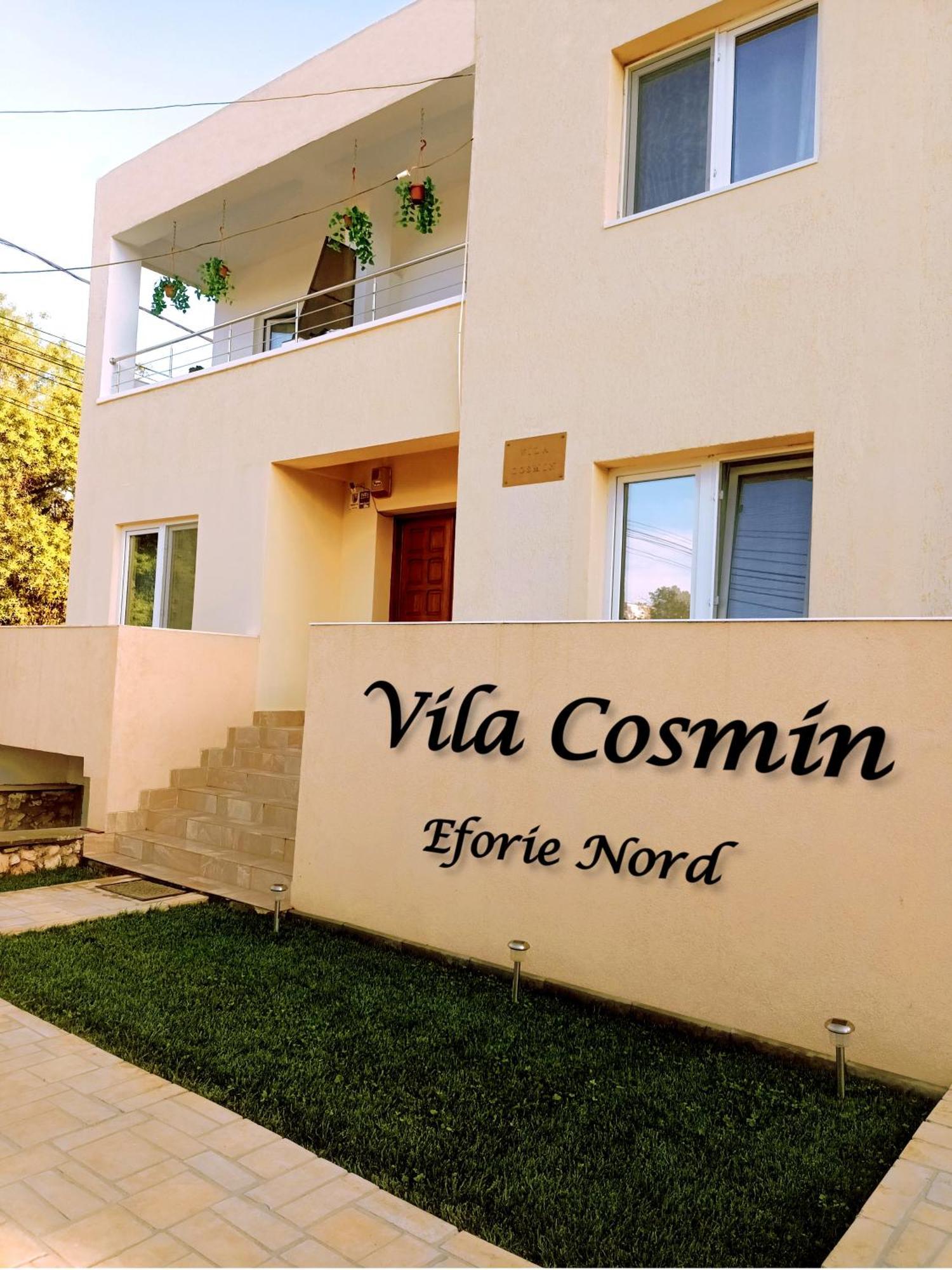 ホテル Vila Cosmin エフォリエ・ノルド エクステリア 写真